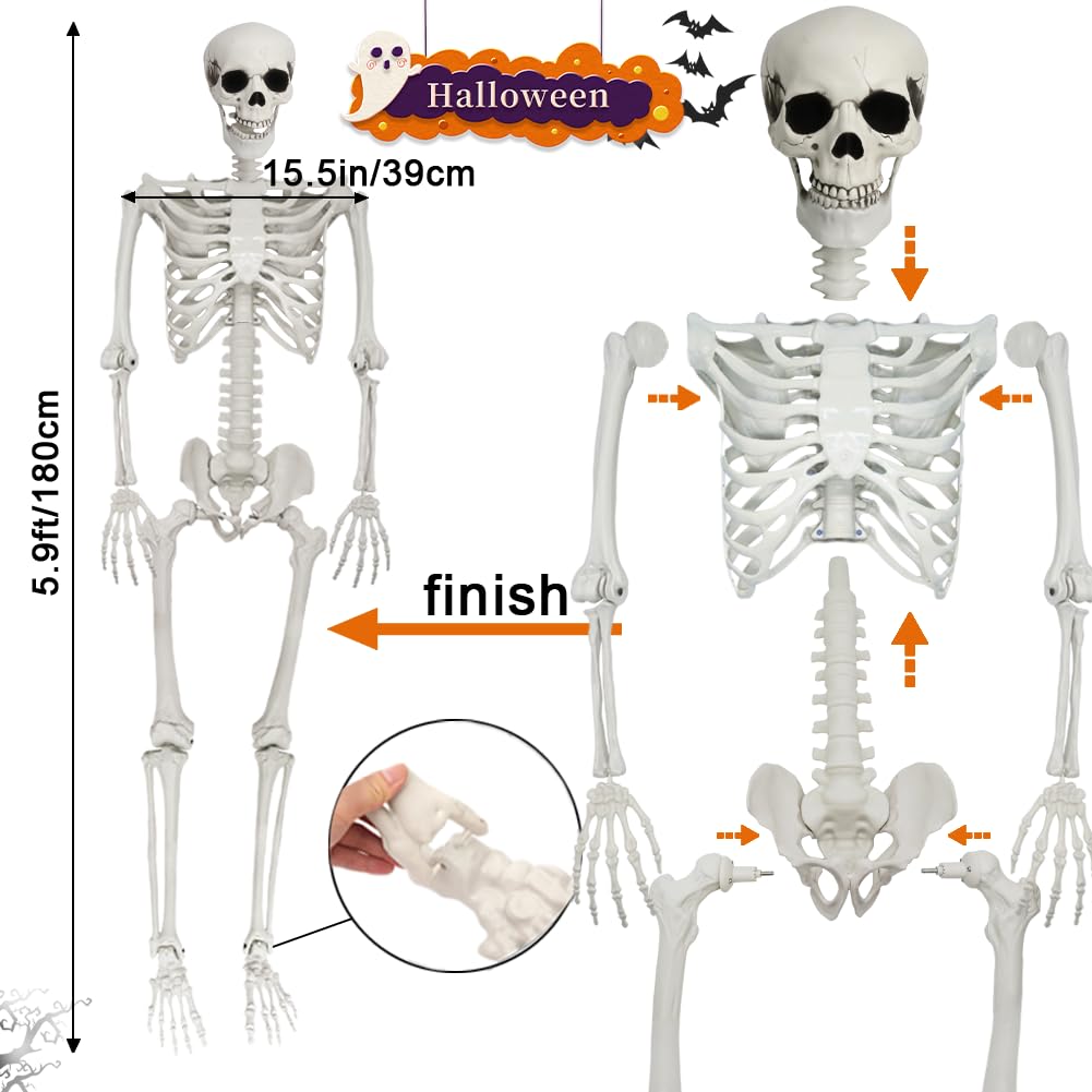 5.9FT Poseable Life Size Skeleton with Movable Joints Y803026