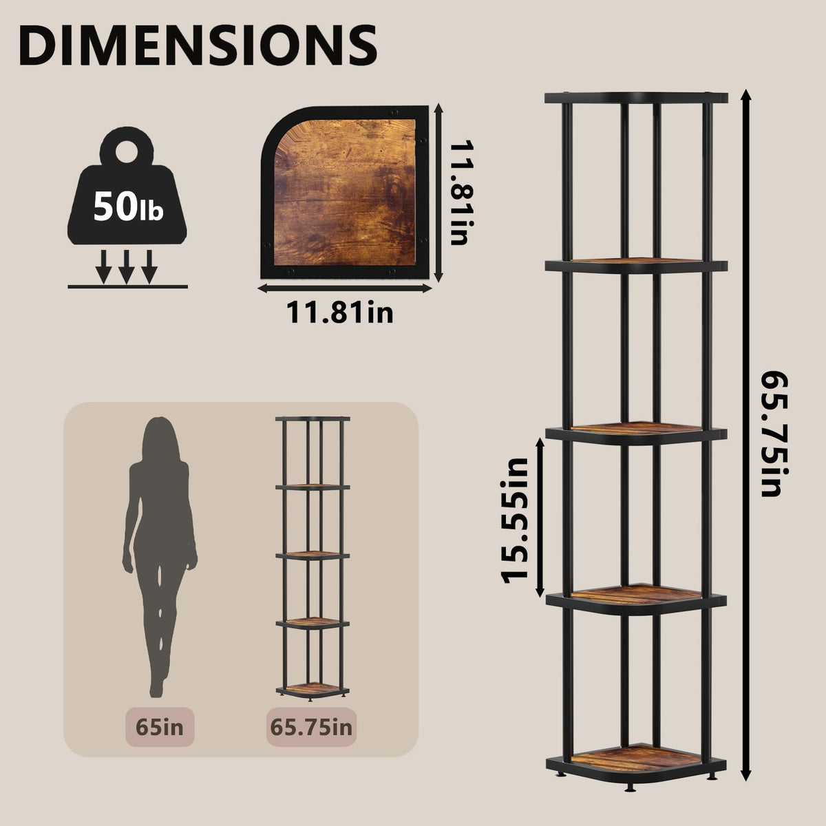5 Tier Corner Shelf W2271