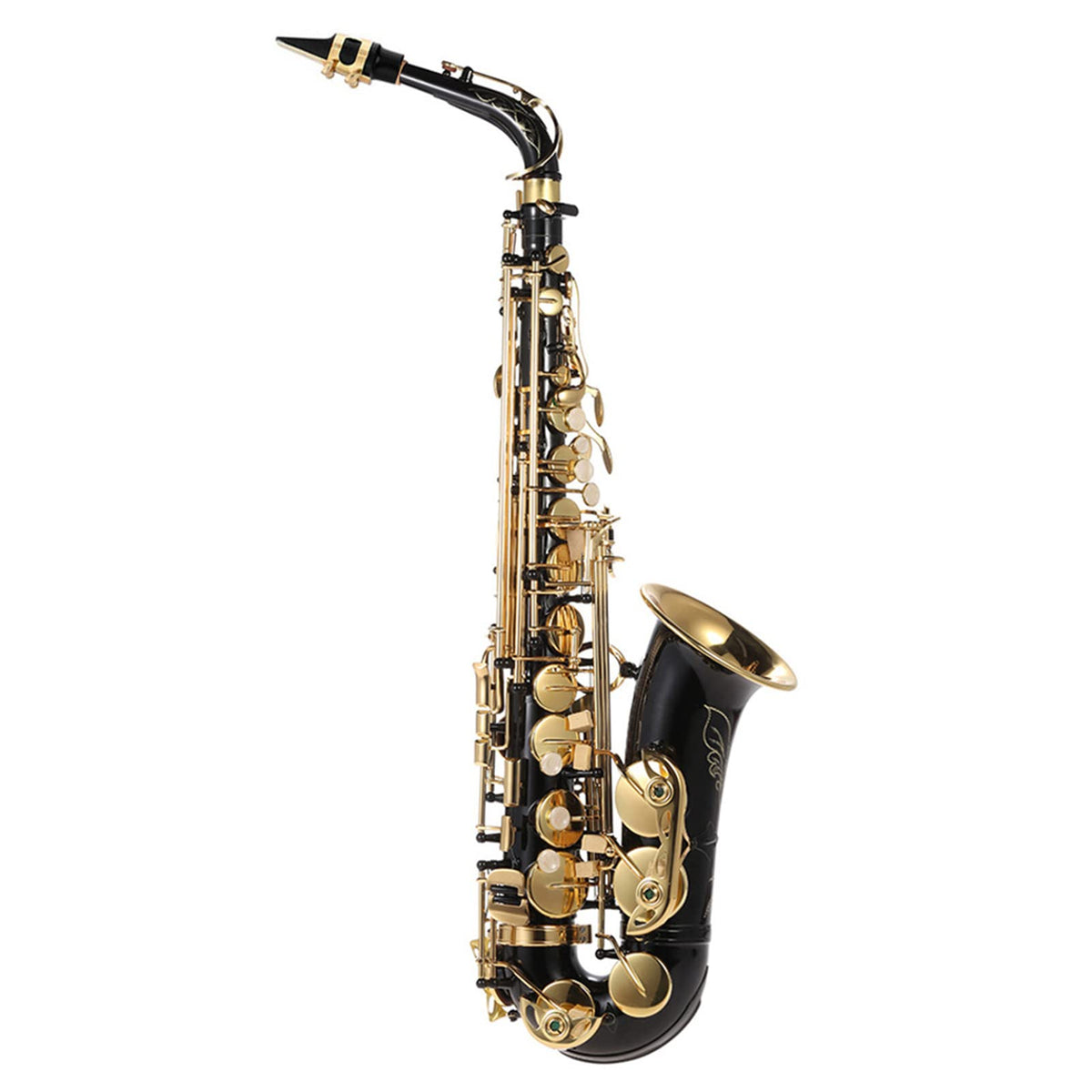 Eb Alto Saxophone Brass Gold Lacquer with Case F809
