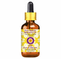 Babchi Oil with Glass Dropper 30ml G54889