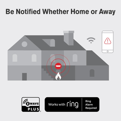 10-Year Battery Combination Smoke & Carbon Monoxide Alarm P486301