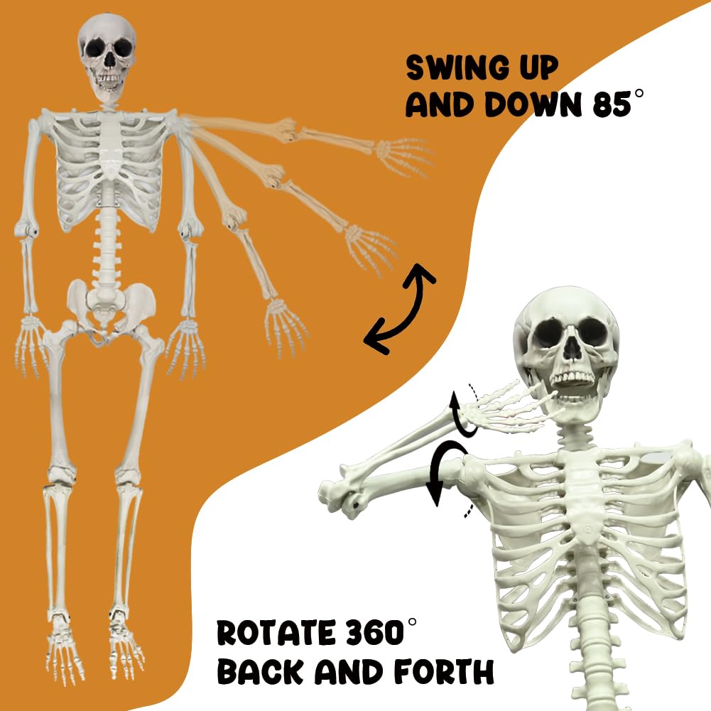 5.9FT Poseable Life Size Skeleton with Movable Joints Y803026
