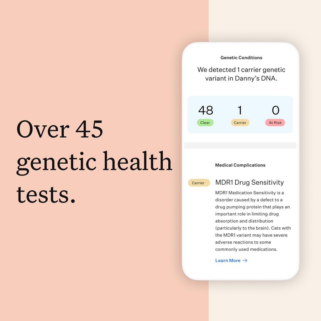 Cat DNA Test Kit, 45 Health Conditions, 1 Pack N82216