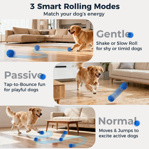2-Pack Interactive Washable Dog Ball R122