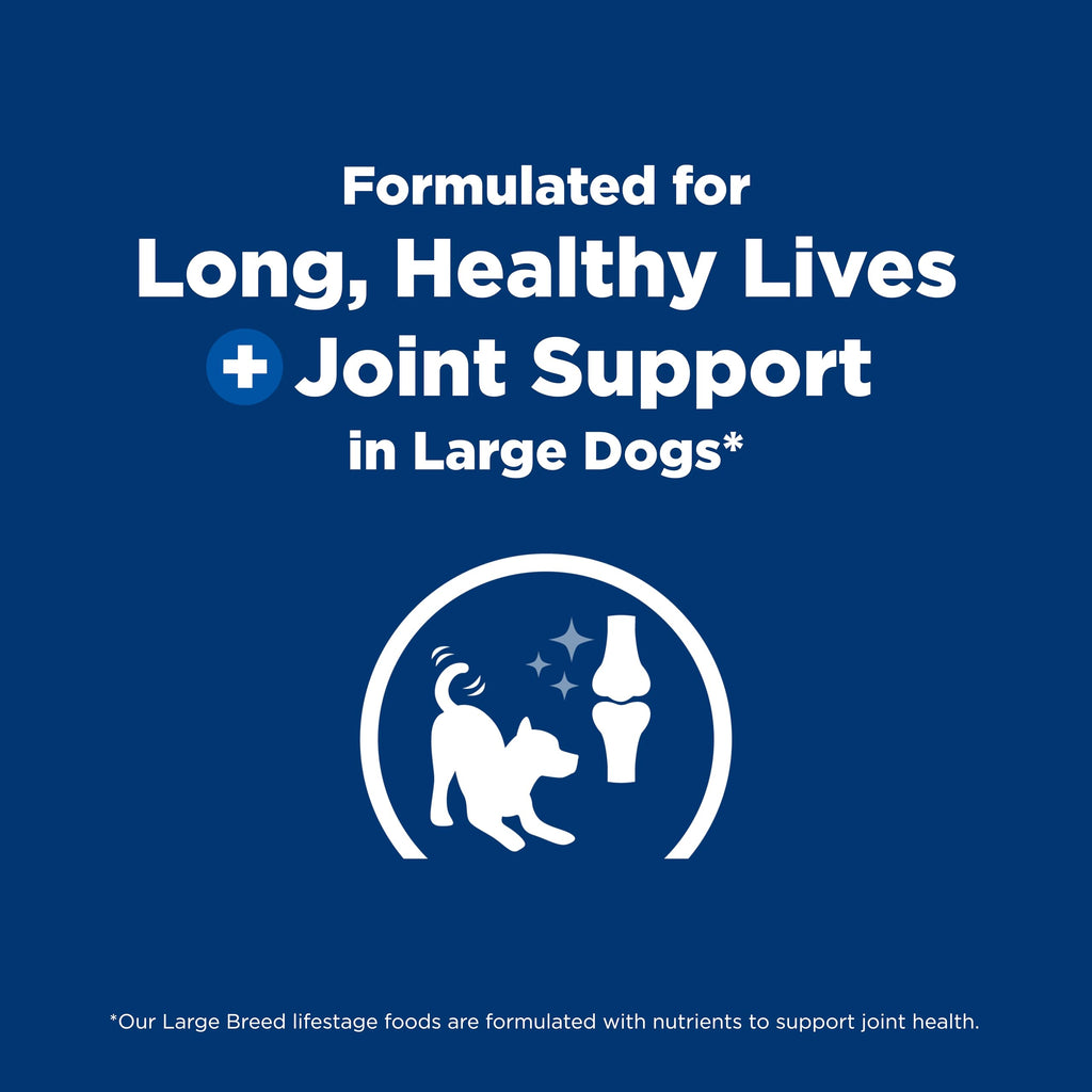 Dry Dog Food X466910