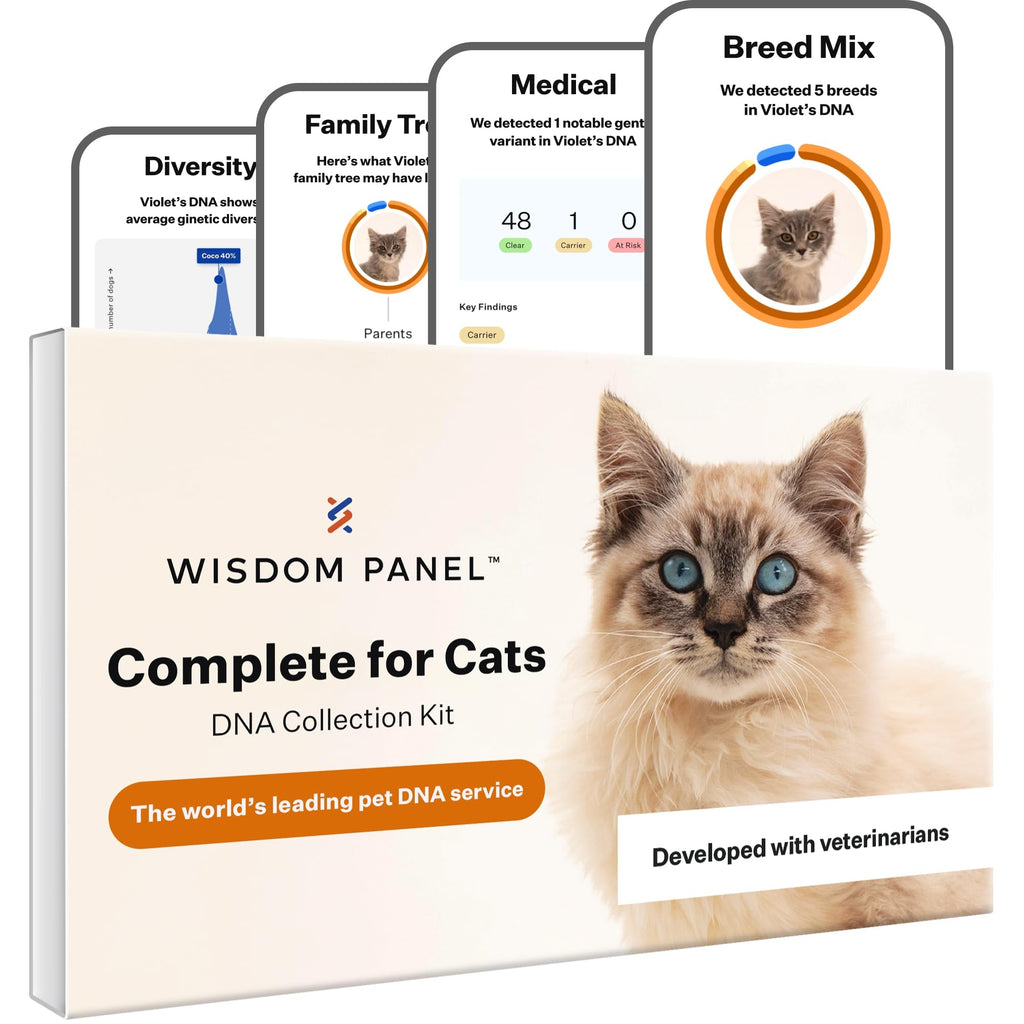 Cat DNA Test Kit, 45 Health Conditions, 1 Pack N82216
