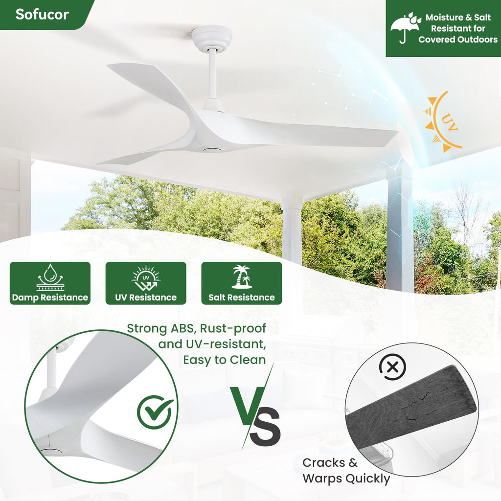 52 Inch Ceiling Fan P29646