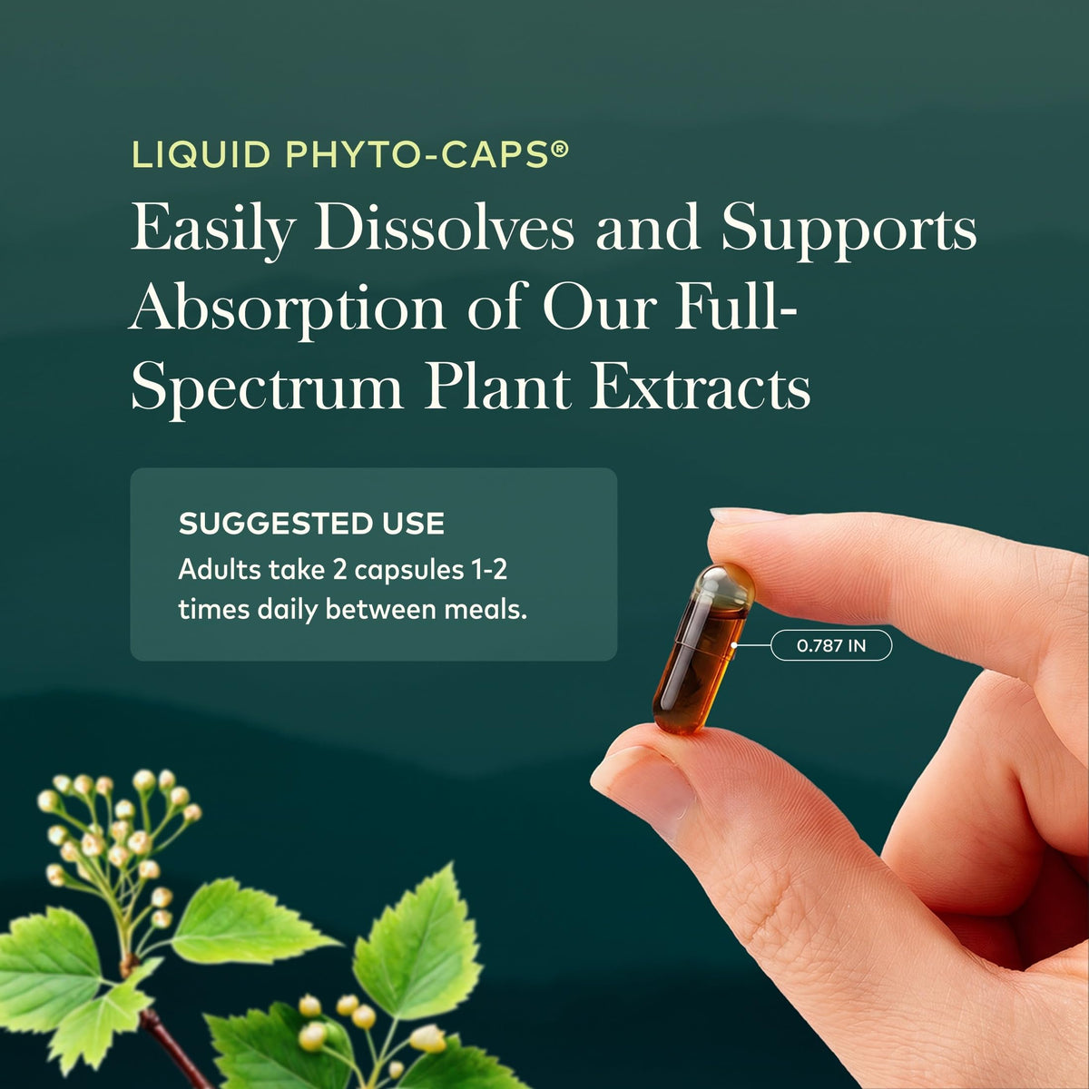 40 Vegan Capsules Nootropic Focus P317752