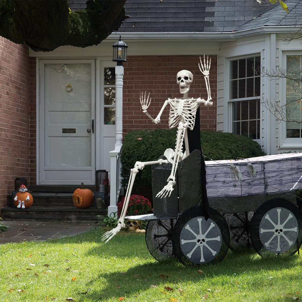 5.9FT Poseable Life Size Skeleton with Movable Joints Y803026