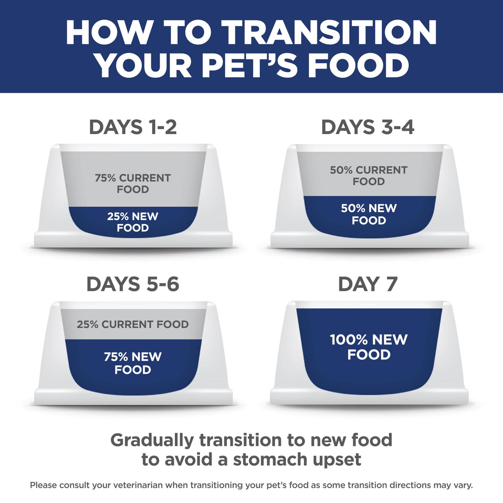 Dry Dog Food X466910