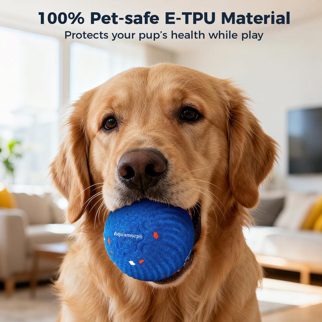 2-Pack Interactive Washable Dog Ball R122