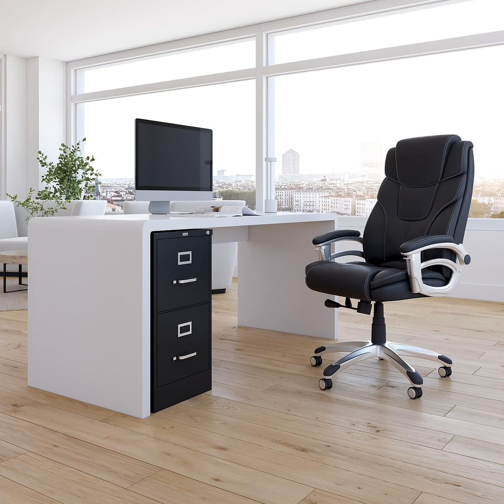 Black 2 Drawer Letter Size Lockable File Cabinet O4621