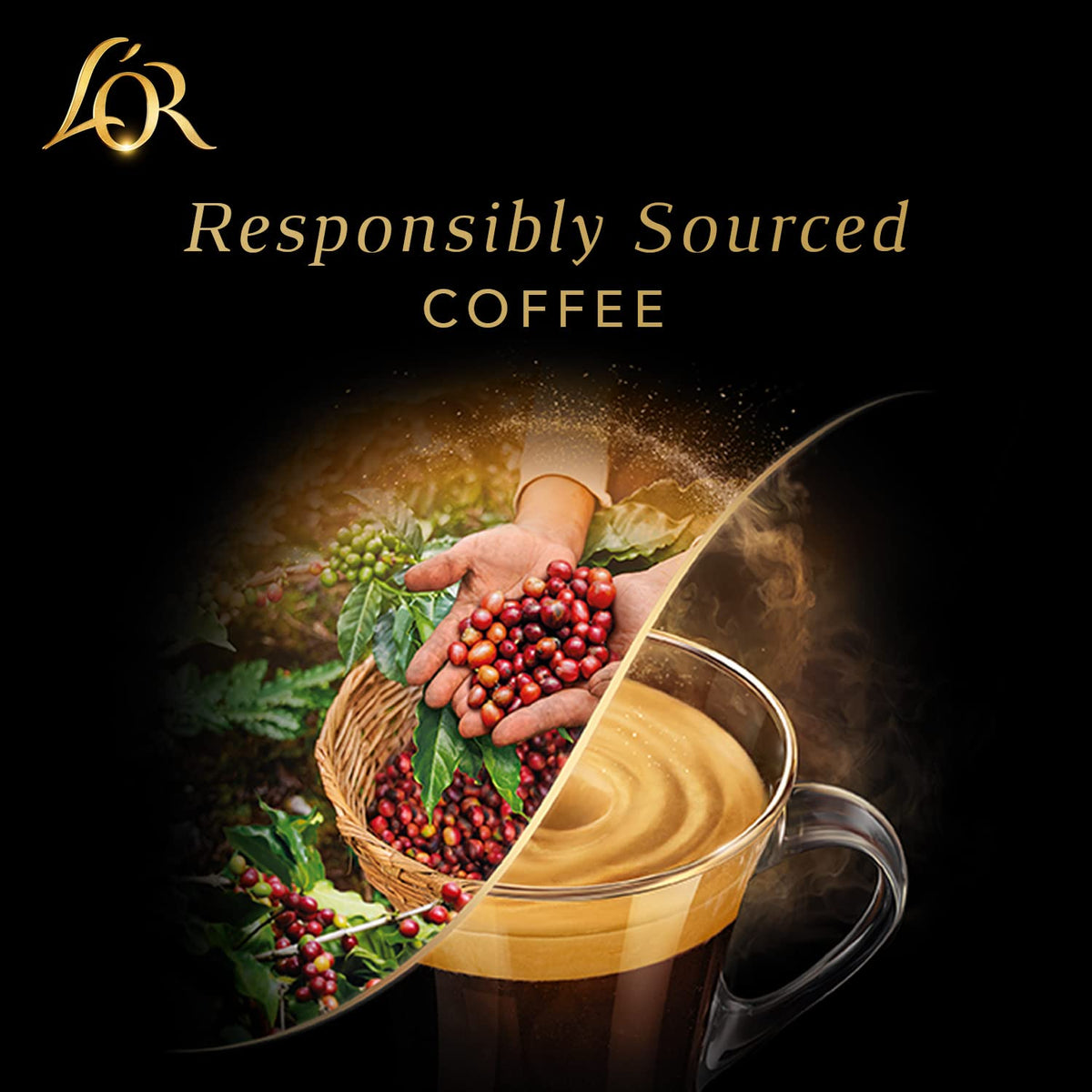50 Count Aluminum Single-Serve Coffee Capsules B625145