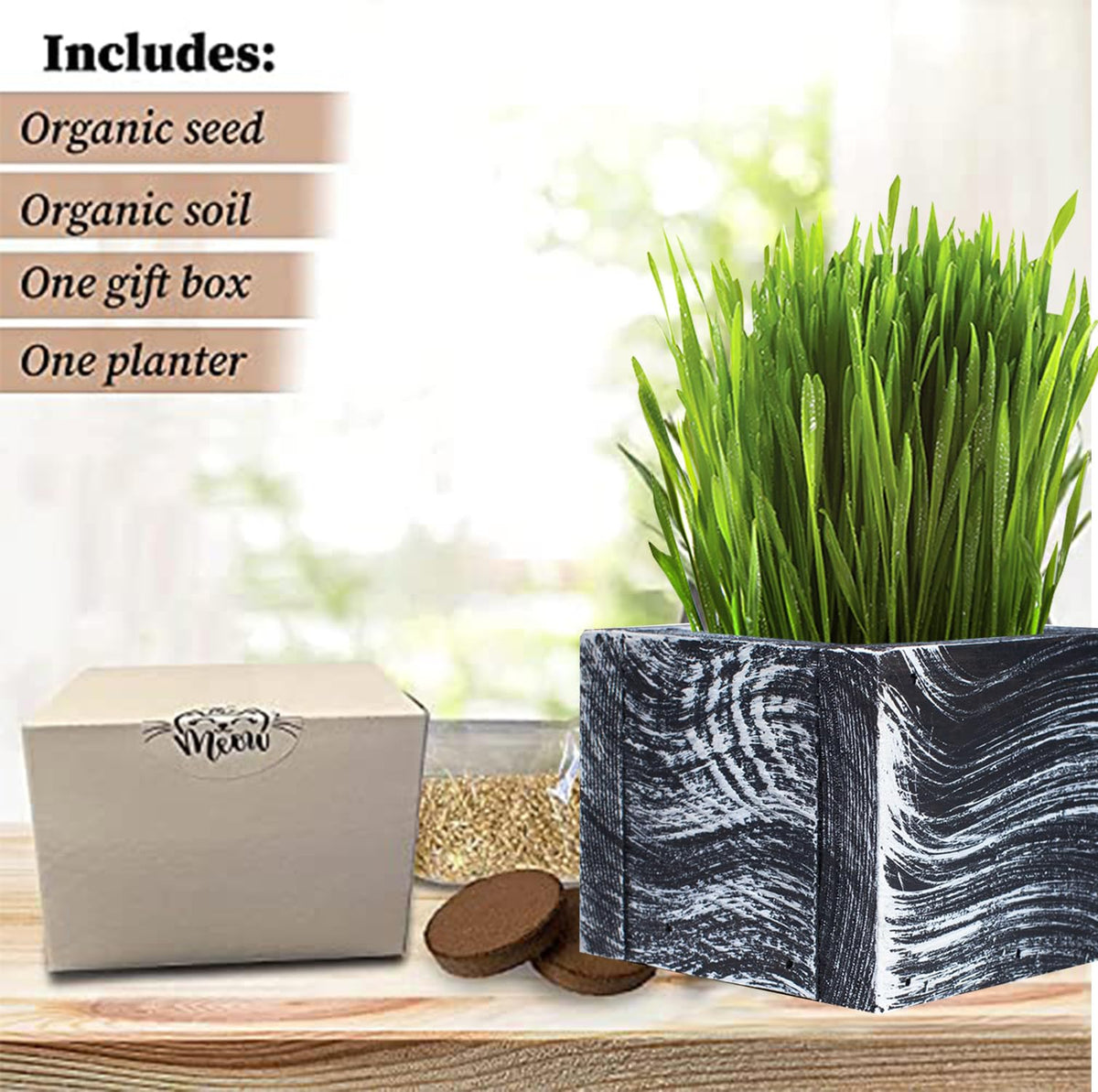Organic Cat Grass Kit with Planter, Seeds and Soil P546