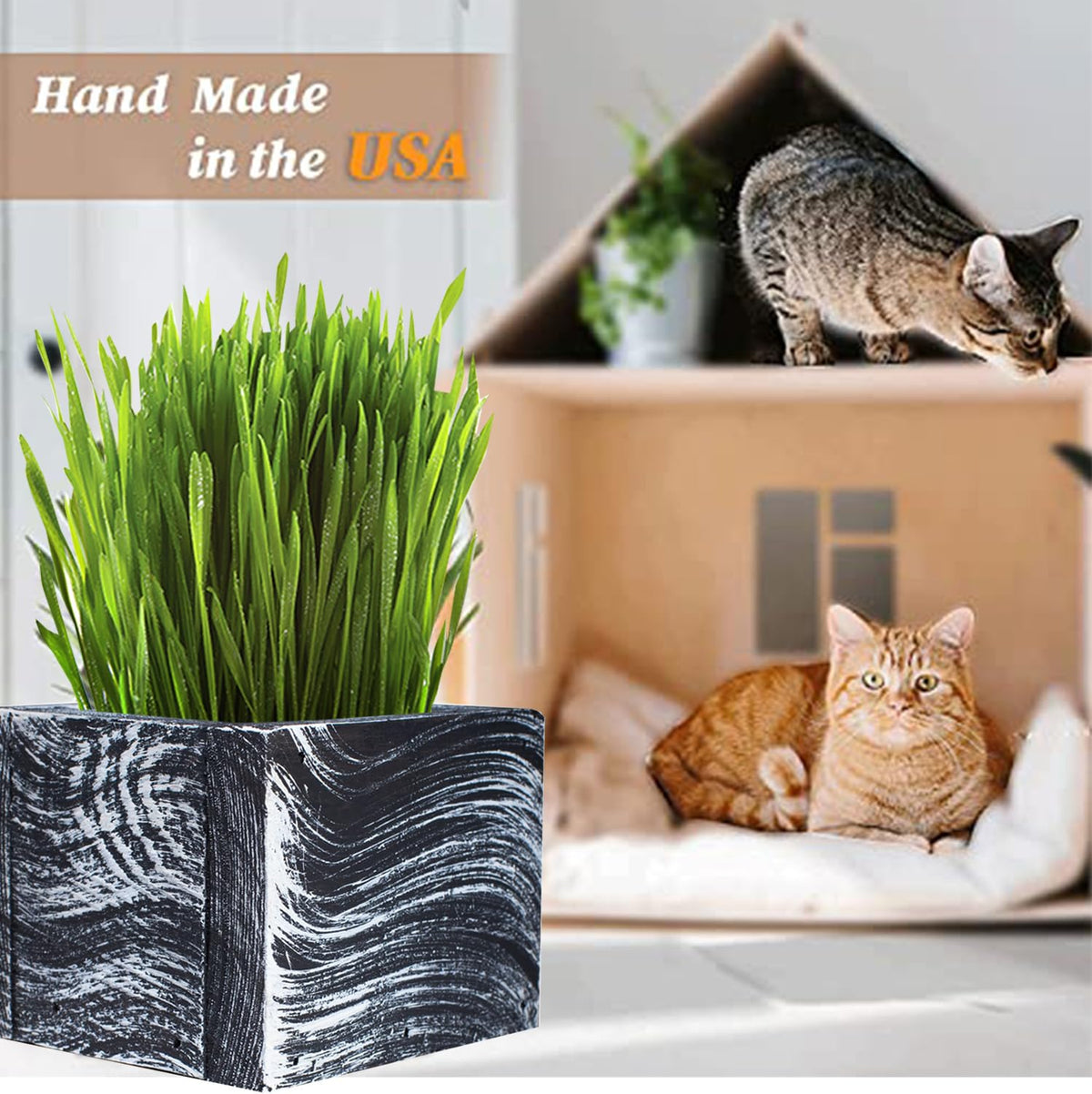 Organic Cat Grass Kit with Planter, Seeds and Soil P546