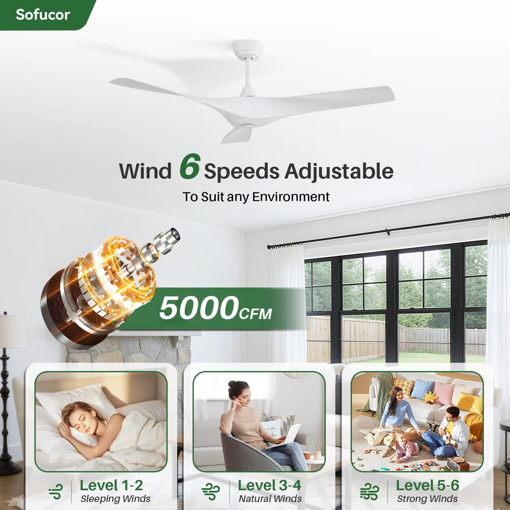 52 Inch Ceiling Fan P29646