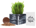 Organic Cat Grass Kit with Planter, Seeds and Soil P546