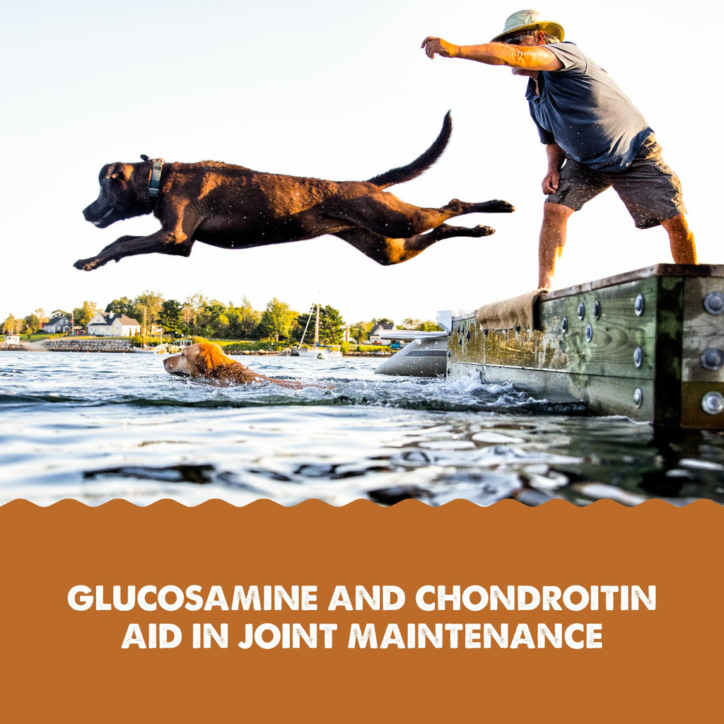 Joint Health Supplement for Dogs and Cats, 32 Ounce K25209