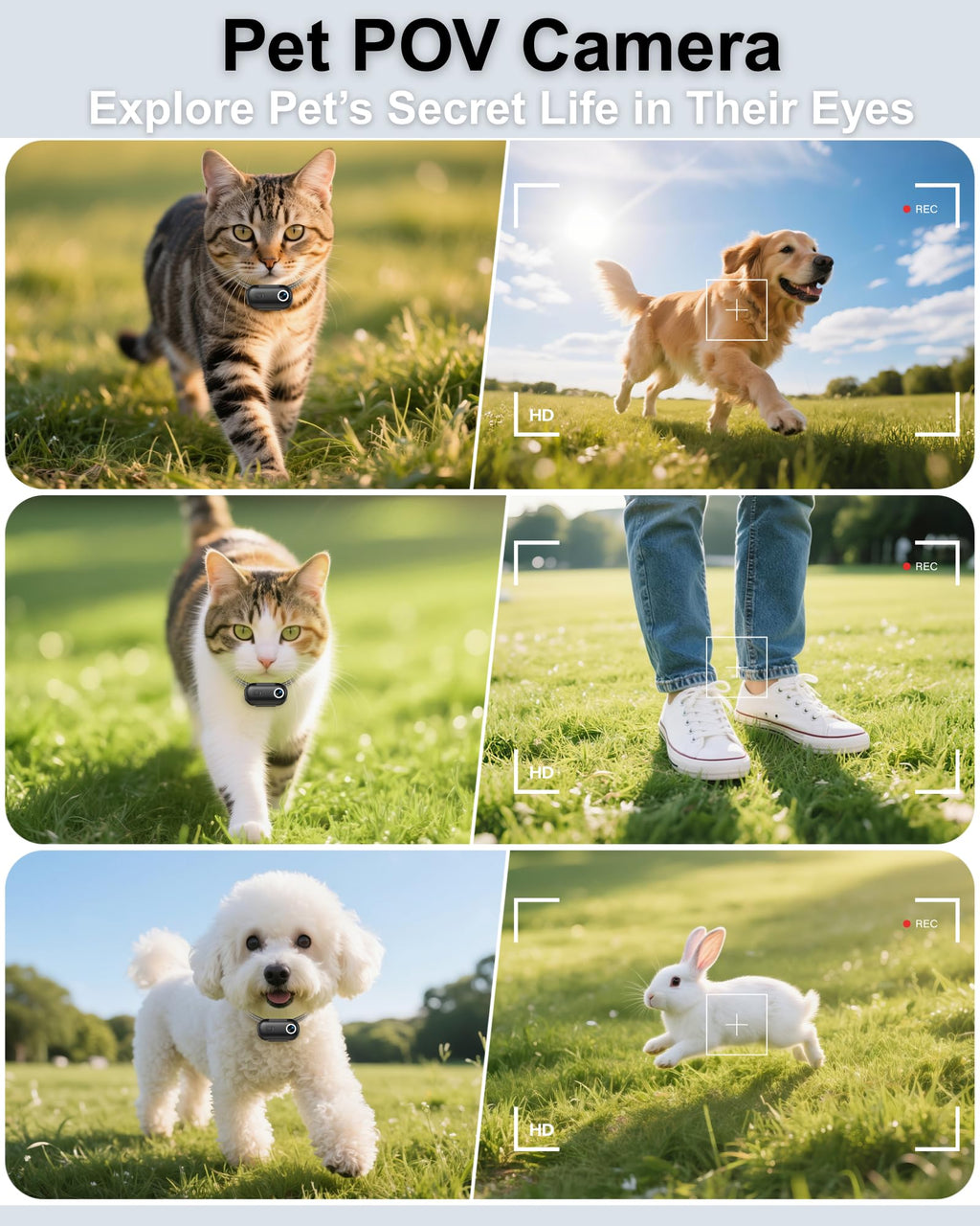 Cat Camera Collar with APP, 1080P HD Pet POV Video Recording V994
