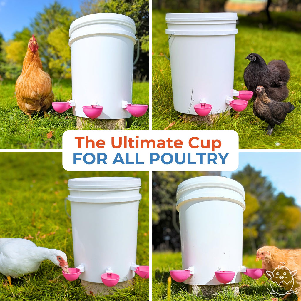 Automatic Chicken Waterer Cups 5 Pack R387