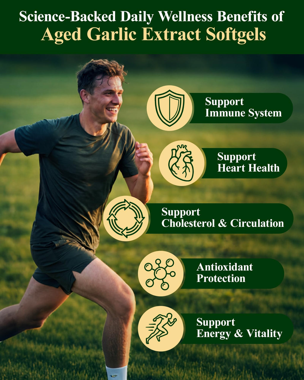 Odorless Garlic Supplement 300 Softgels N53773