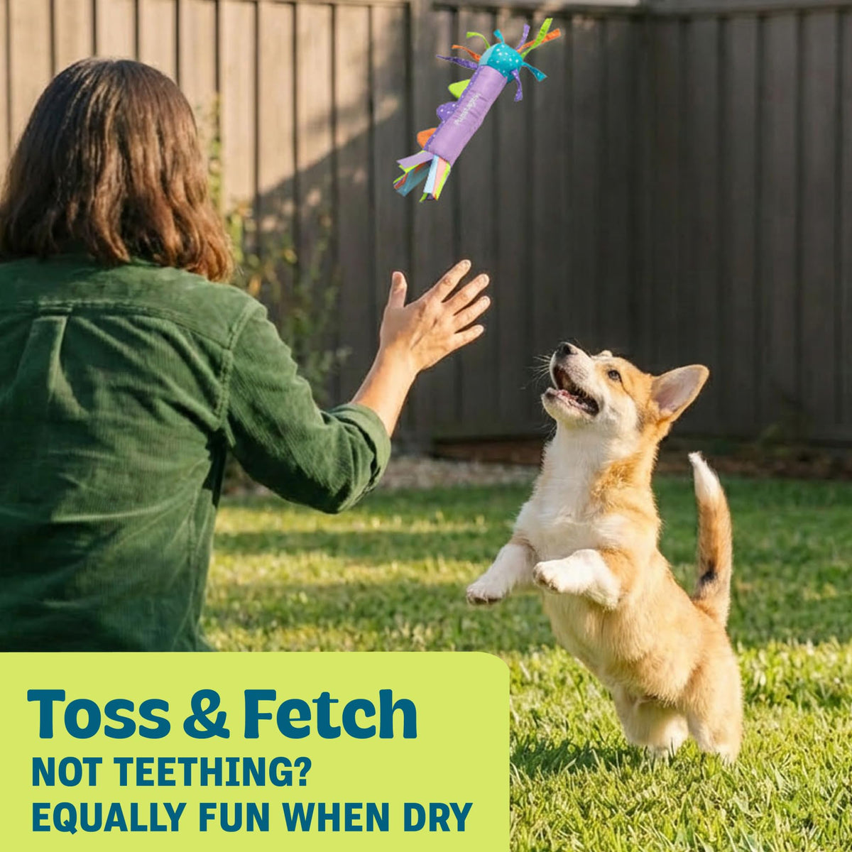 Cool Teething Stick Dental Dog Chew Toy C202
