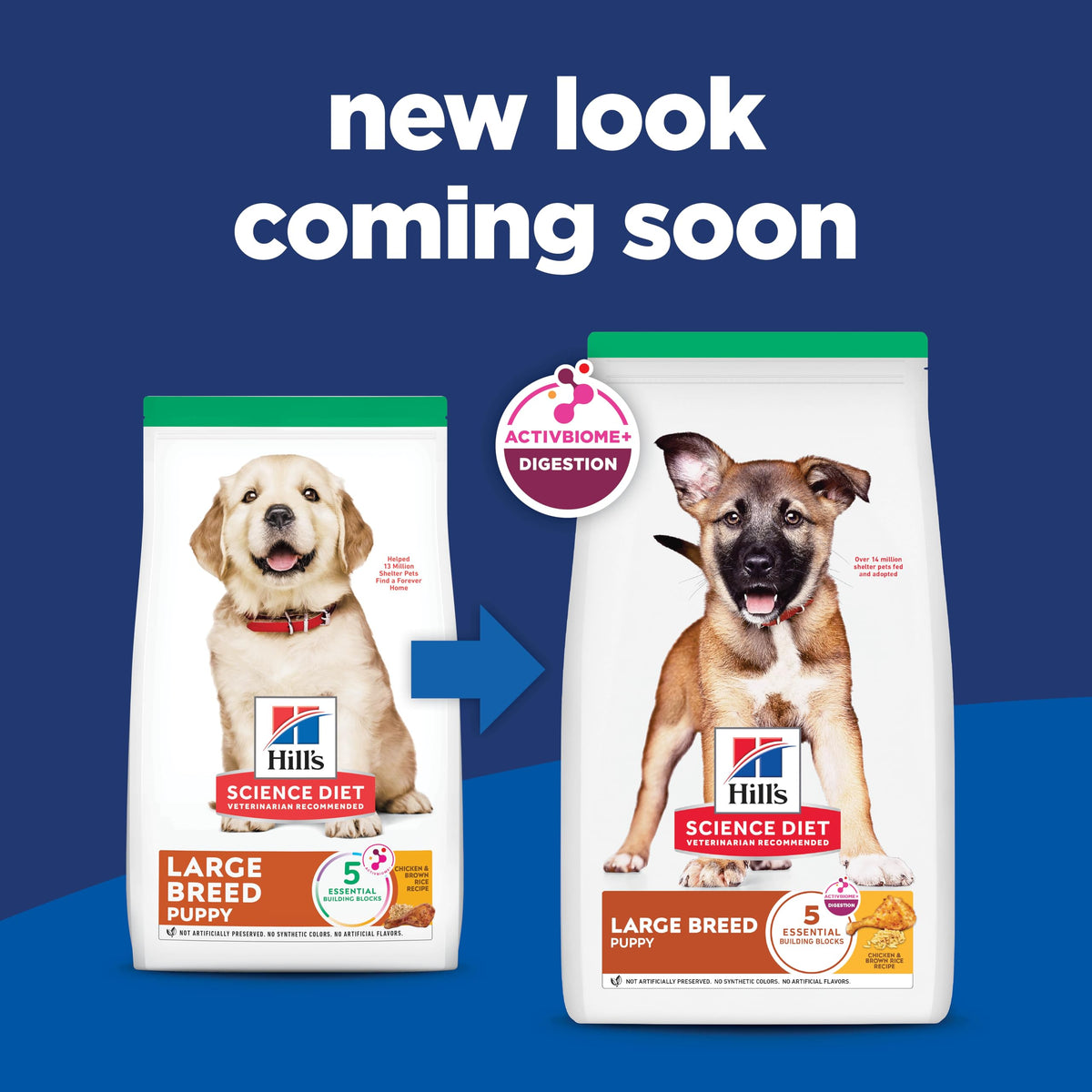 Dry Dog Food X466910