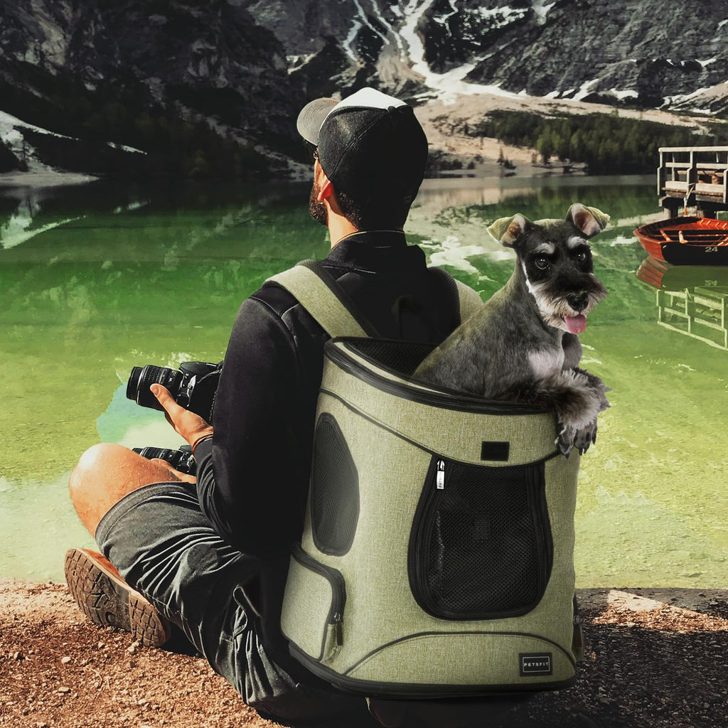 Dog and Cat Backpack Carrier, Up to 18 lb W32859
