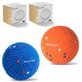 2-Pack Interactive Washable Dog Ball R122