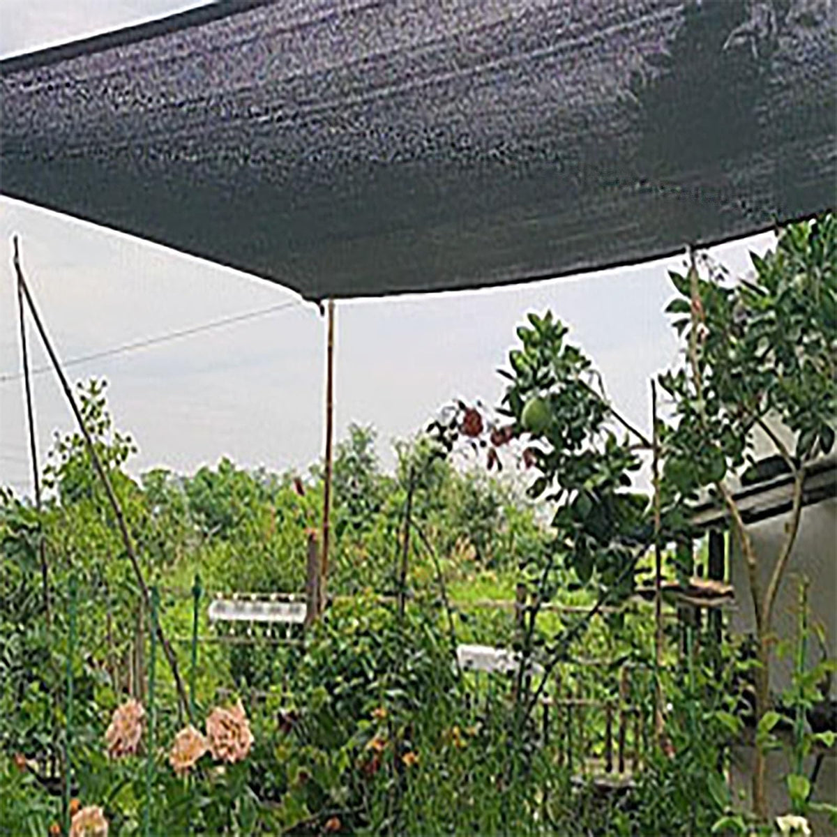 90% UV Resistant Black Shade Cloth with Grommets 5x9m L14087