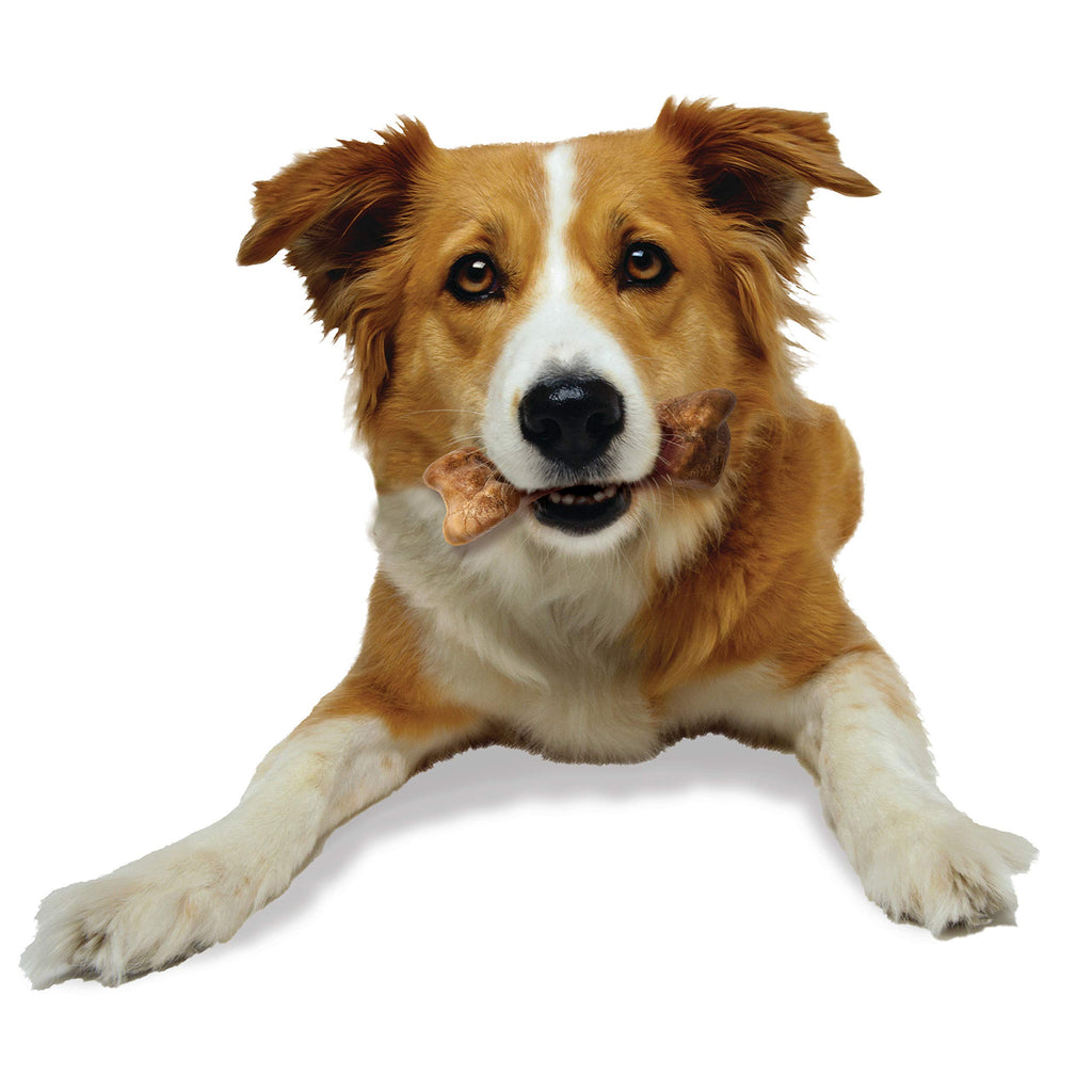 Bison Flavor Medium Dog Treats 2 Count E42629