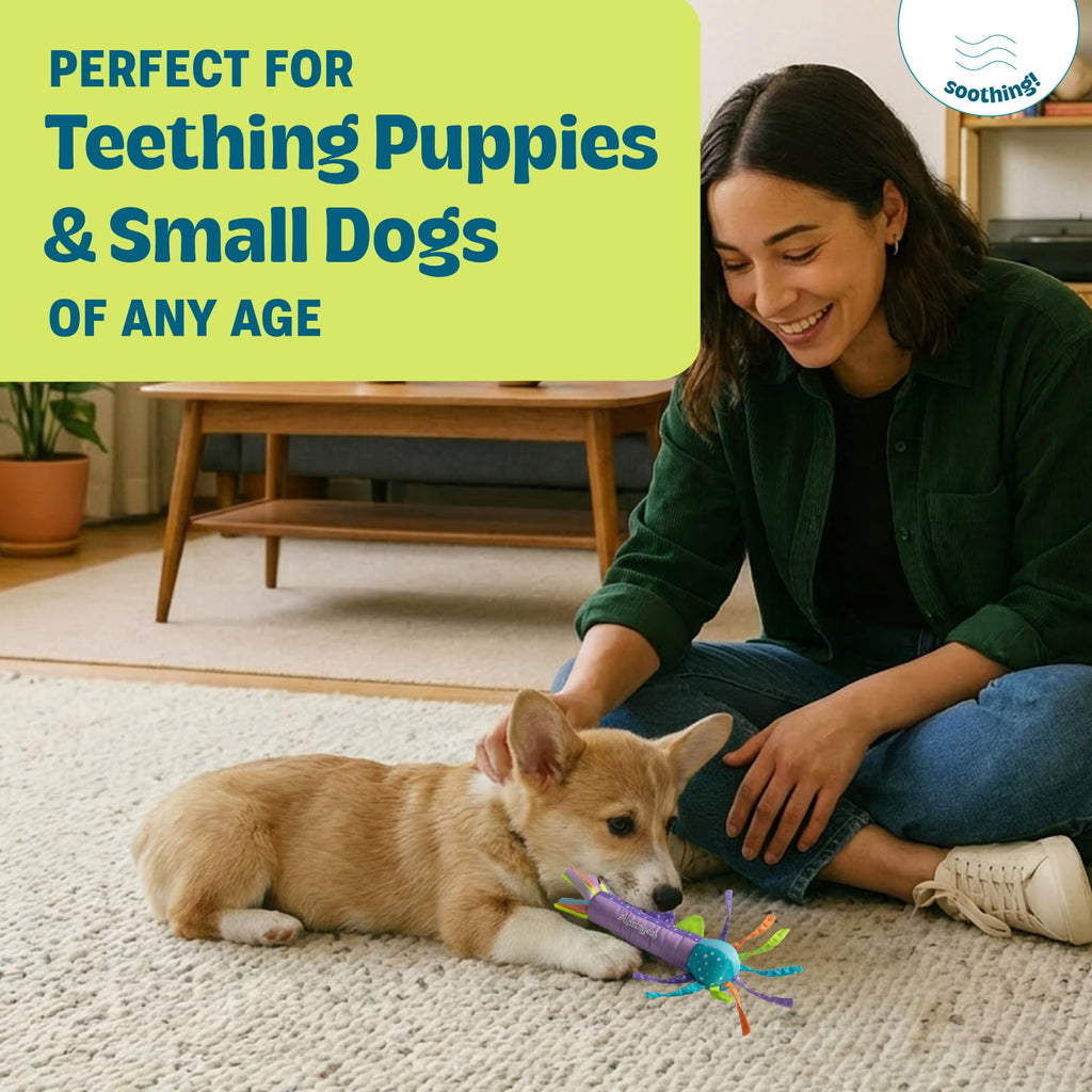 Cool Teething Stick Dental Dog Chew Toy C202