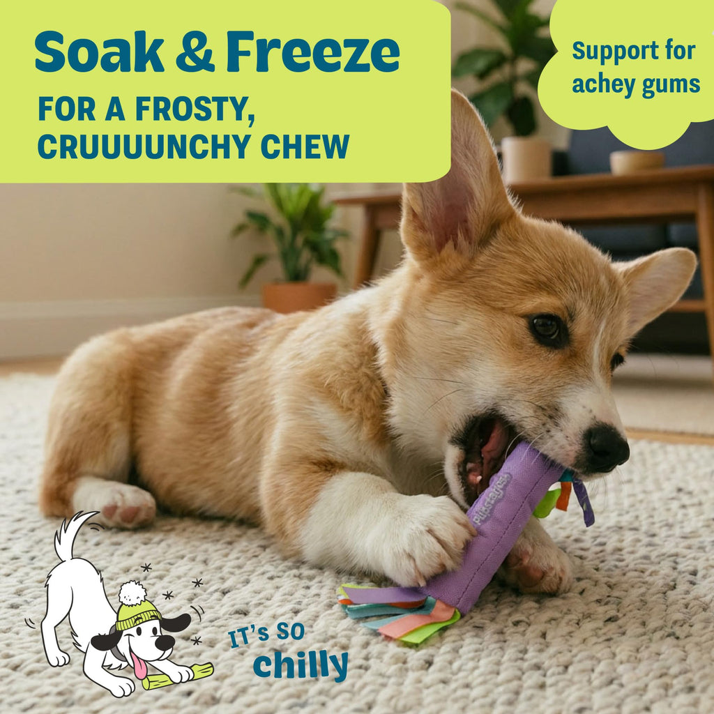 Cool Teething Stick Dental Dog Chew Toy C202