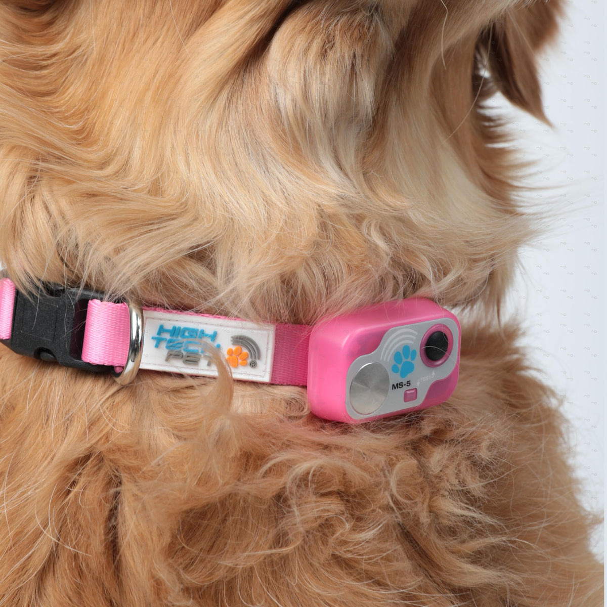 Automatic Pet Door S970