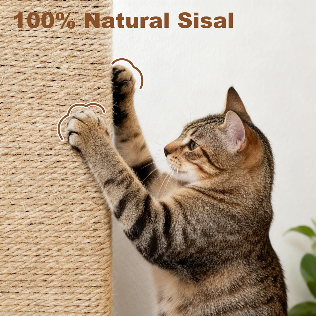 Tall Cat Scratching Post with Carpet X788