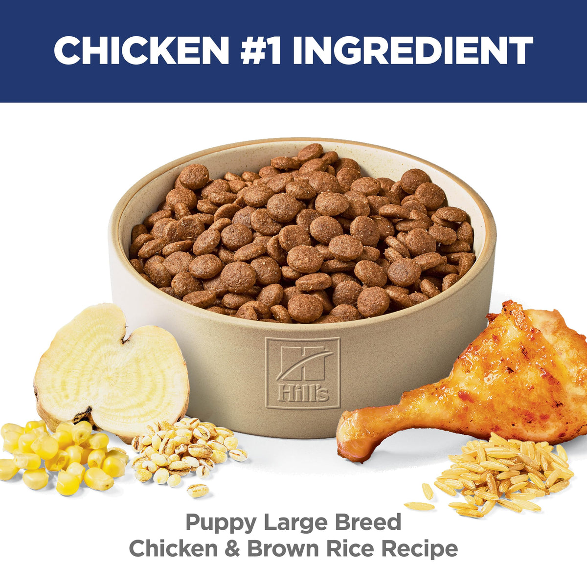 Dry Dog Food X466910